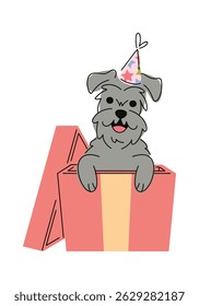 Birthday dog inside gift box