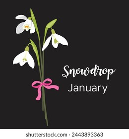 Birthday Flower Bouquet Set of Snowdrop Fowers Flat vector. Zodiac, Esoteric astrology on Black Background.