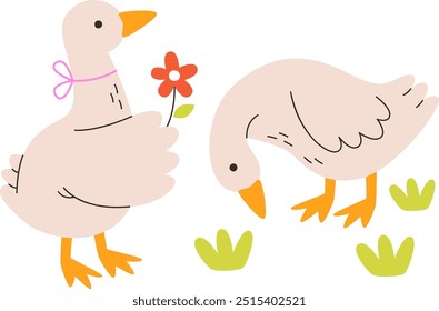 Casal de gansos de aniversário com ilustração de vetor de flor