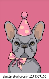 Birthday girl gray French Bulldog dog with pink party hat and ribbon graphic vector illustration