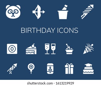 birthday icon set. 14 filled birthday icons. Included Panda, Bow, Champagne, Fireworks, Firecracker, Candy, Cake, Candle, Gift, Confetti icons