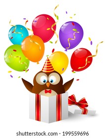 Birthday owl in gift box