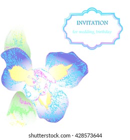 Birthday vector card. Wedding vector card. Birthday or Wedding day template. Template for banner, gift certificate, party invitation.