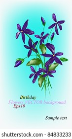 Birthday.Flowers background.Vector eps10