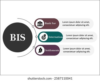 BIS - Bank For International Settlements acronym. Infographic template with icons and description placeholder