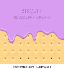 Biscuit Background with Blueberry Milk Cream : Vector Illustration