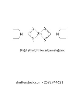 Bis(diethyldithiocarbamate)-zinc skeletal structure.Zinc Complex compound schematic illustration. Simple diagram, chemical formula.
