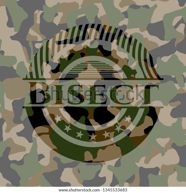Bisect on camouflaged\
pattern