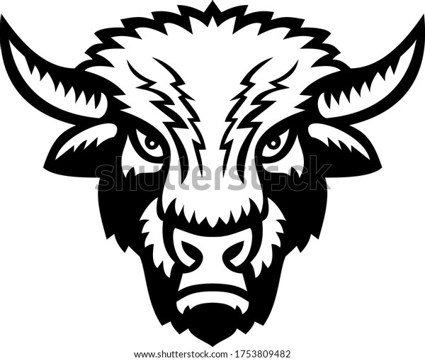 Bison American Buffalo Head Front View Stock Vector (Royalty Free ...