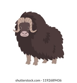 Bison, arctic polar animal vector Illustration on a white background