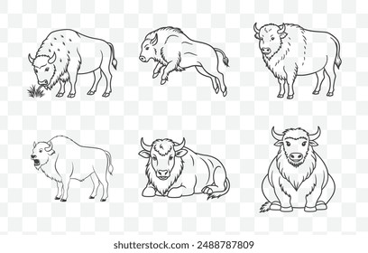 Bison Art Vector Set Beautiful Illustrations of American Buffalo in Detailed Line Art