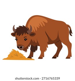 Bison buffalo eating hay vector illustration side view perfect for wildlife animal farm educational or nature conservation themed designs