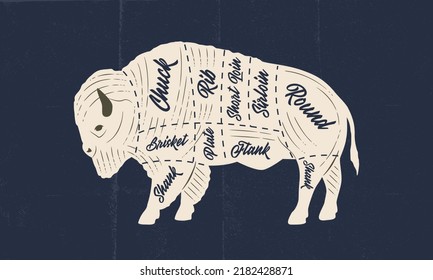 Bison, Buffalo meat chart. Butchery poster with bison meat cuts and paper craft texture. Vintage butcher meat diagram. Vector illustration