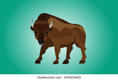 bison cartoon flat vector animal character