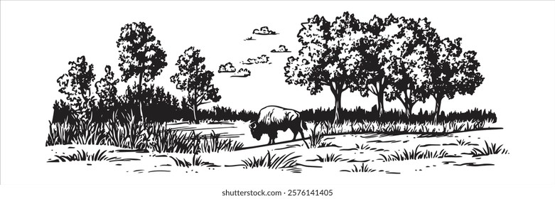 bison grazing in meadow with trees in black and white hand-drawn style