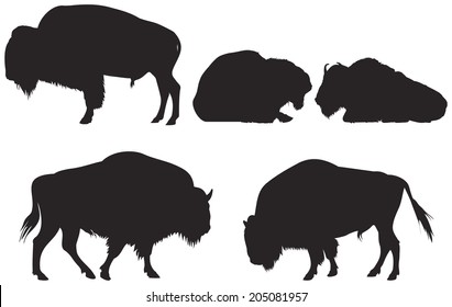 Bison group vector Silhouettes, American bison or American buffalo from the Wild West series