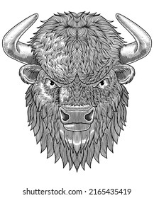 Bison head with Engraving style vector Illustration isolated in white background