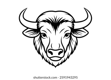 A bison head vector illustration 