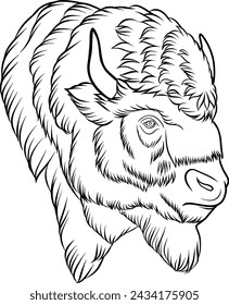 Bison head, vector outline illustration