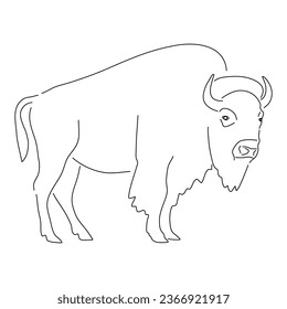 Bison illustration in hand drawn design. Vector editable stroke.
