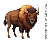 Bison illustration on White Background