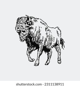 diseño vectorial bison ink