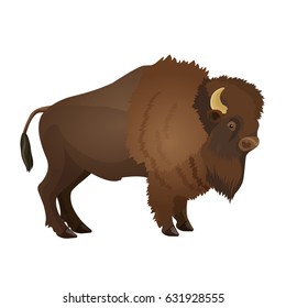 Bison large even-toed ungulate realistic vector illustration i