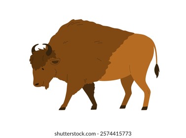 Bison, large wild mammal. Horned animal with fluffy fur, walking. Majestic powerful herbivore fauna. Forest buffalo profile, side view. Flat graphic vector illustration isolated on white background