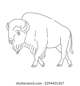 Bison in line art drawing style. Vector illustration.