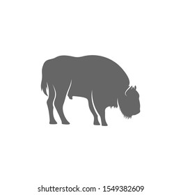 Bison Logo Design Vector. Bison logo Template