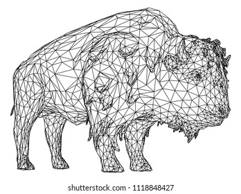 Bison polygonal lines illustration. Vector Buffalo American Bison on the white background