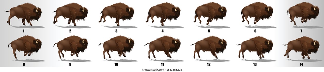 Bison run cycle animation frames, loop animation sequence sprite sheet 