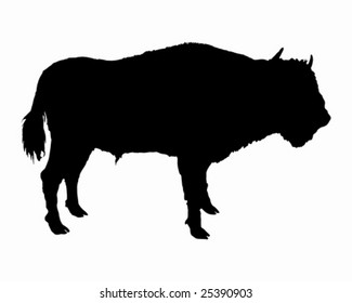 Bison shown in form of a black silhouette