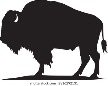 Bison silhuette animal white background images