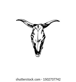 Bison skull hand drawing by ink. Buffalo cranium vector illustration. Cow head bone black isolated on white background. 