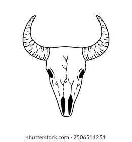 Bison skull in sketch style. Hand drawn illustration.