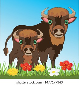 Bison with its small child by bison on nature