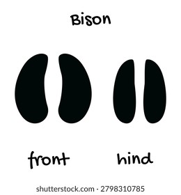 Bison tracks. Bison front and hind foot prints, black silhouettes on white background. Perfect for educational materials, children's encyclopedias, wildlife infographics, and tracking aids.