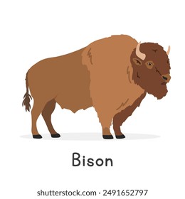 Ilustración vectorial de un personaje Clipart de dibujos animados de bisonte, animal en estilo plano. Animales salvajes, criaturas salvajes, concepto de vida salvaje. Diseño de Vector de bisonte aislado sobre fondo blanco