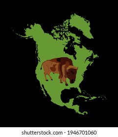 Ilustración vectorial de veneno aislada en la silueta de mapa de Norteamérica sobre fondo negro. Retrato de machos búfalos agarrándose en tierras verdes, símbolo de América. Animales fuertes, cultura india.