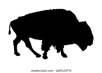 Bison vector silhouette illustration isolated on white background. 
Portrait of Buffalo, symbol of America. Strong animal, Indian culture.