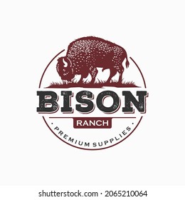 Bison Vintage Logo Design Vector