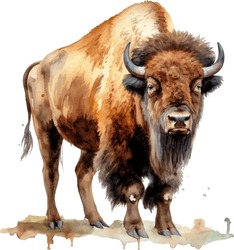 Bison Watercolor, Bison. Forest Animal Watercolor Illustration