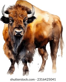 Bison Watercolor, Bison. Ilustración de la acuarela de los animales forestales