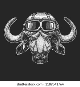 Bison wearing aviator hat. Print for children clothes, tee, t-shirt. Pilot wild animal