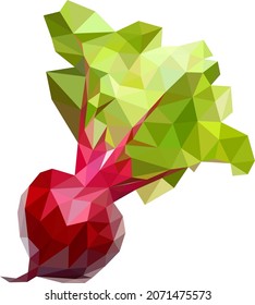Bit fruit illustration Low poly style on white background, Bit fruit vector isolated