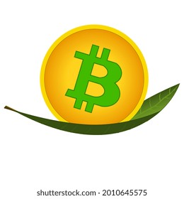 Bitcoin coin on green leaf isolated on white. Concept of mining cryptocurrencies using green renewable energy to protect environment.