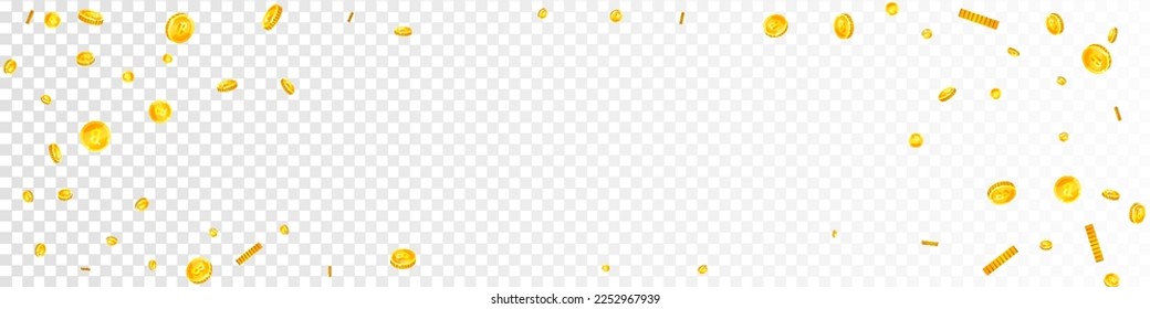 Bitcoin coins falling. Cryptocurrency scattered gold BTC coins. Internet currency. Global financial crisis concept. Panoramic vector illustration.