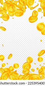 Bitcoin coins falling. Cryptocurrency scattered gold BTC coins. Internet currency. Great business success concept. Vector illustration.