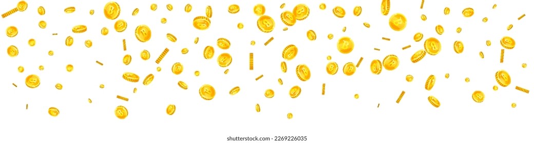 Bitcoin coins falling. Cryptocurrency scattered gold BTC coins. Internet currency. Jackpot wealth or success concept. Panoramic vector illustration.